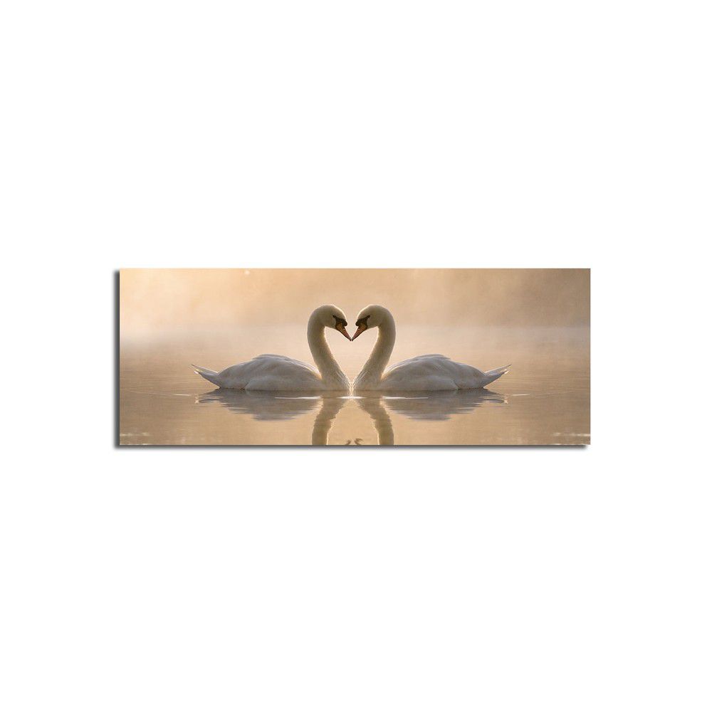 Obraz na plátně Swan Love, 90 x 30 cm - Bonami.cz