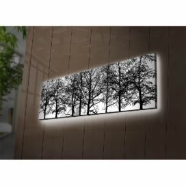 Wallity Obraz s LED osvětlením VĚTVE STROMŮ 72 30 x 90 cm
