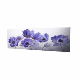 Wallity Obraz na plátně Violet beauty PC028 30x80 cm