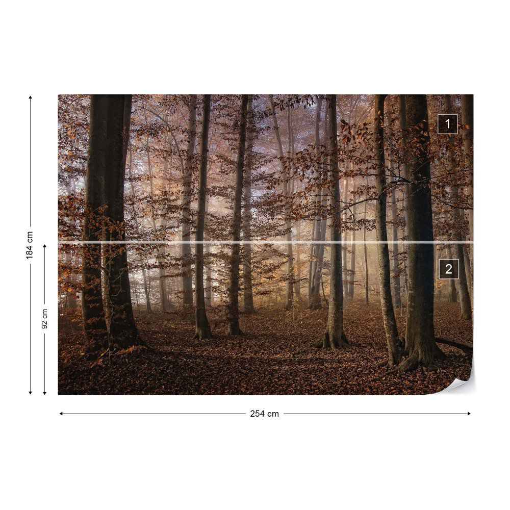 Fototapeta GLIX - Autumn In The Forest + lepidlo ZDARMA Vliesová tapeta  - 254x184 cm - GLIX DECO s.r.o.