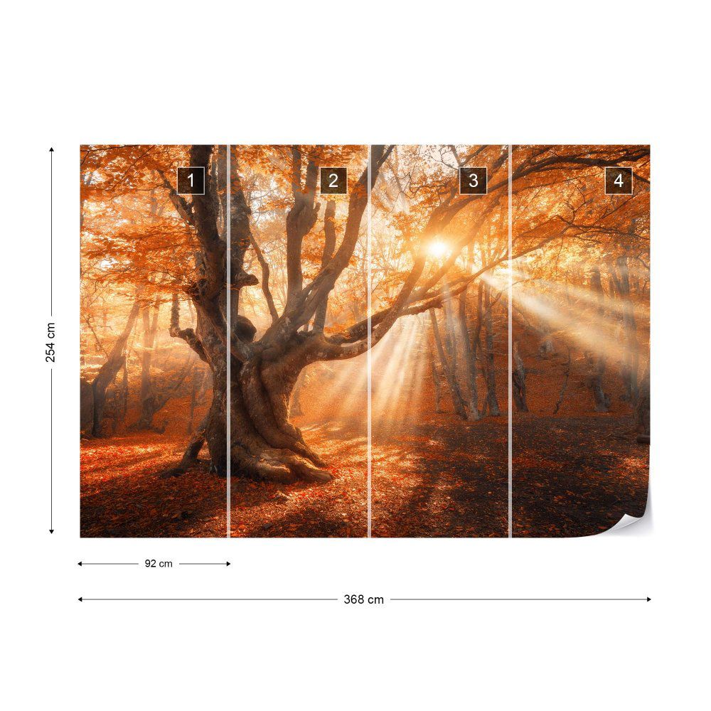 Fototapeta GLIX - Autumn Magic + lepidlo ZDARMA Vliesová tapeta  - 368x254 cm - GLIX DECO s.r.o.