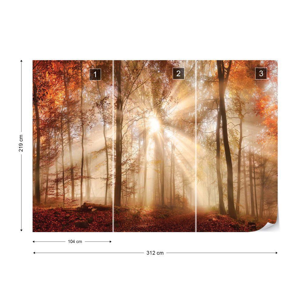 Fototapeta GLIX - Autumn Trees Forest Sunshine + lepidlo ZDARMA Vliesová tapeta  - 312x219 cm - GLIX DECO s.r.o.