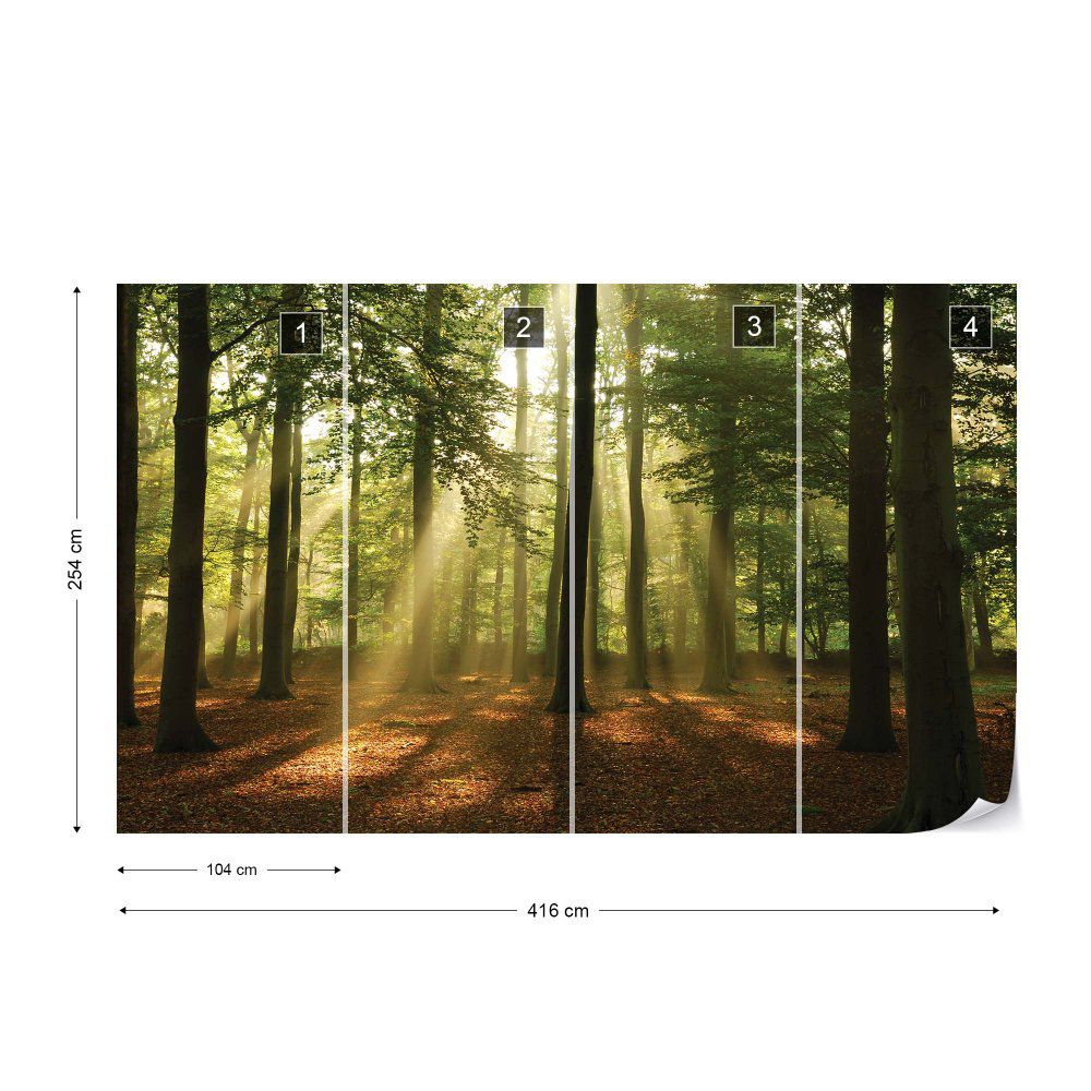 Fototapeta GLIX - Enchanted Forest  + lepidlo ZDARMA Vliesová tapeta  - 416x254 cm - GLIX DECO s.r.o.