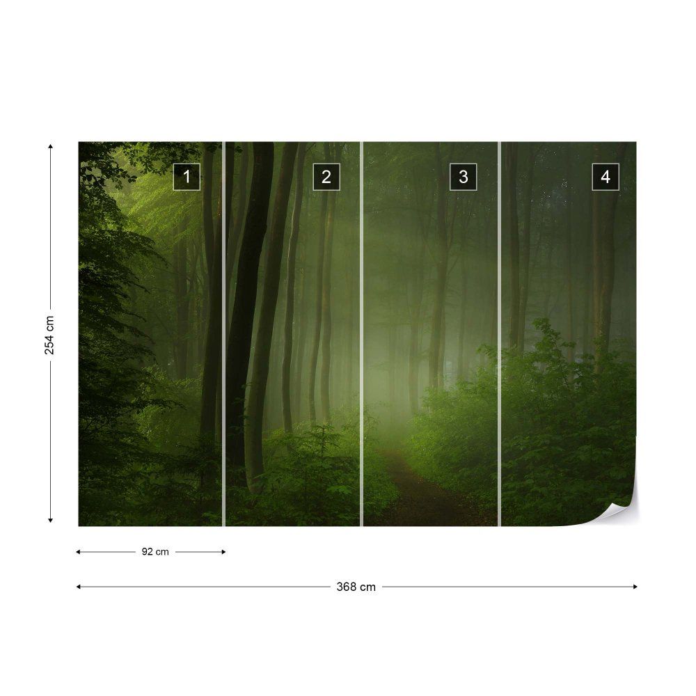 Fototapeta GLIX - Forest Morning + lepidlo ZDARMA Vliesová tapeta  - 368x254 cm - GLIX DECO s.r.o.