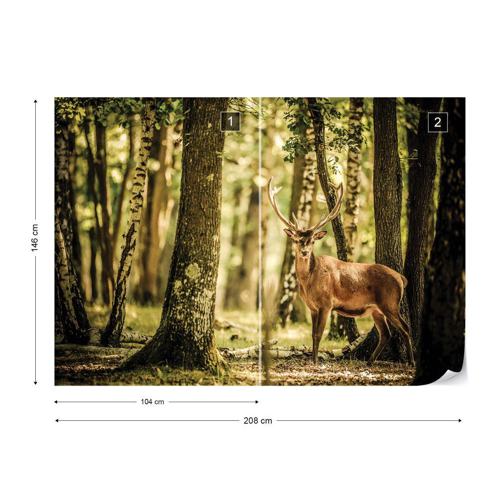 Fototapeta GLIX - Forest Path + lepidlo ZDARMA Vliesová tapeta  - 208x146 cm - GLIX DECO s.r.o.