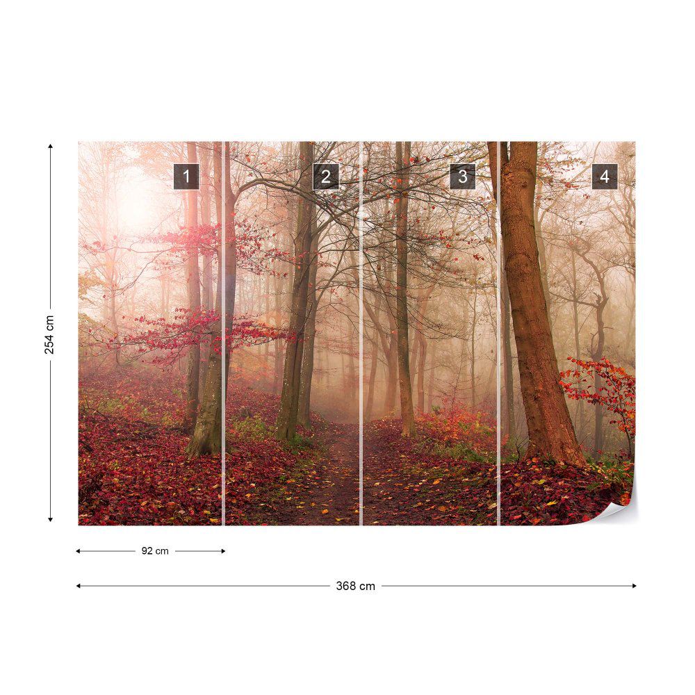 Fototapeta GLIX - Forest Scene + lepidlo ZDARMA Vliesová tapeta  - 368x254 cm - GLIX DECO s.r.o.