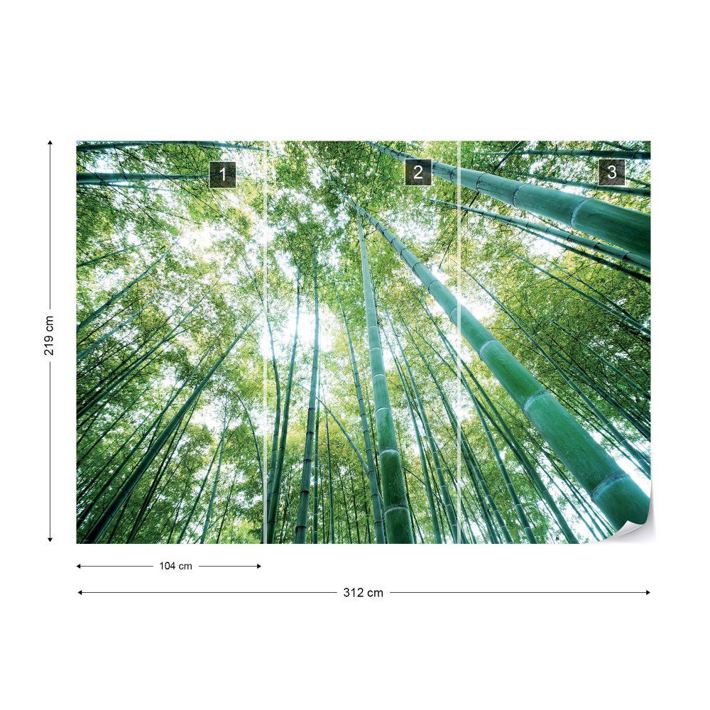 Fototapeta GLIX - Forest Woods + lepidlo ZDARMA Vliesová tapeta  - 312x219 cm - GLIX DECO s.r.o.