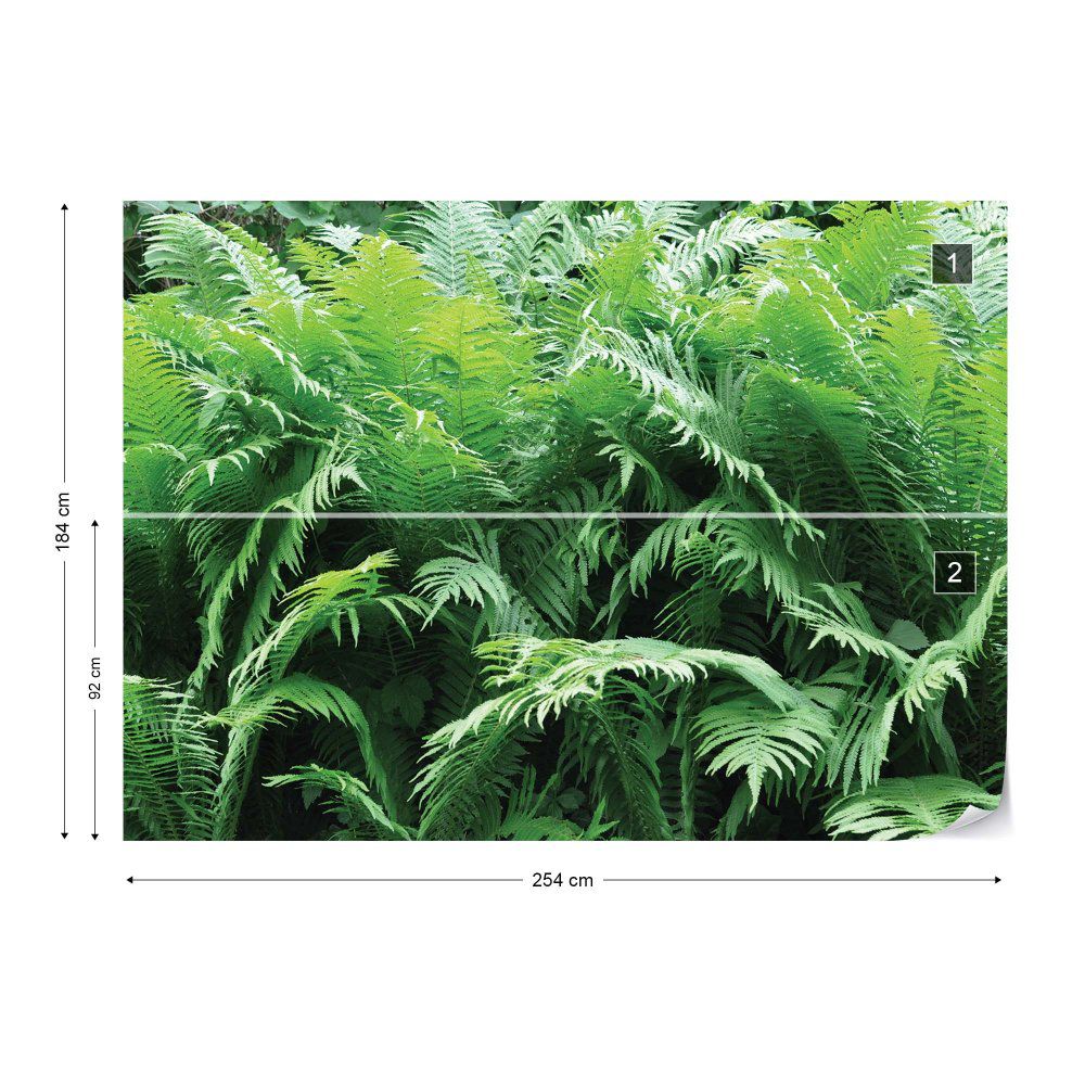 Fototapeta GLIX - Green Ferns Forest + lepidlo ZDARMA Vliesová tapeta  - 254x184 cm - GLIX DECO s.r.o.