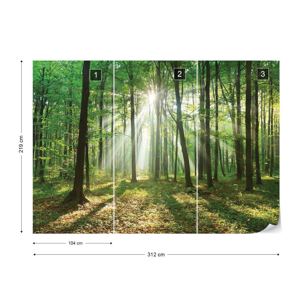 Fototapeta GLIX - Green Forest + lepidlo ZDARMA Vliesová tapeta  - 312x219 cm - GLIX DECO s.r.o.