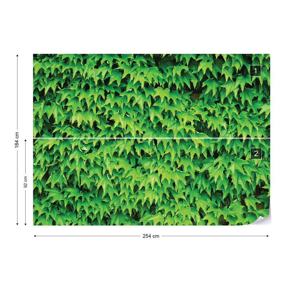 Fototapeta GLIX - Green Leaf Wall + lepidlo ZDARMA Vliesová tapeta  - 254x184 cm - GLIX DECO s.r.o.