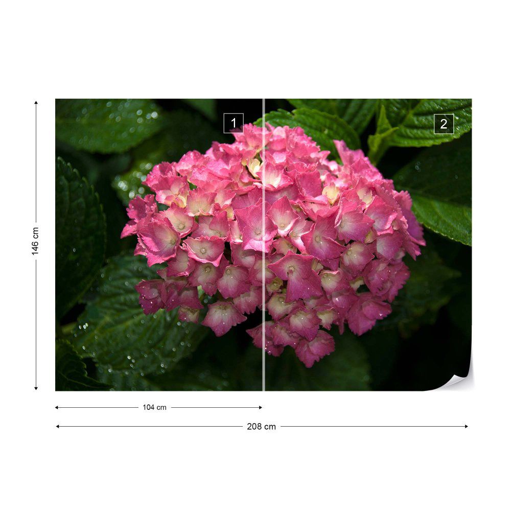Fototapeta GLIX - Flowers Hydrangea White + lepidlo ZDARMA Vliesová tapeta  - 208x146 cm - GLIX DECO s.r.o.