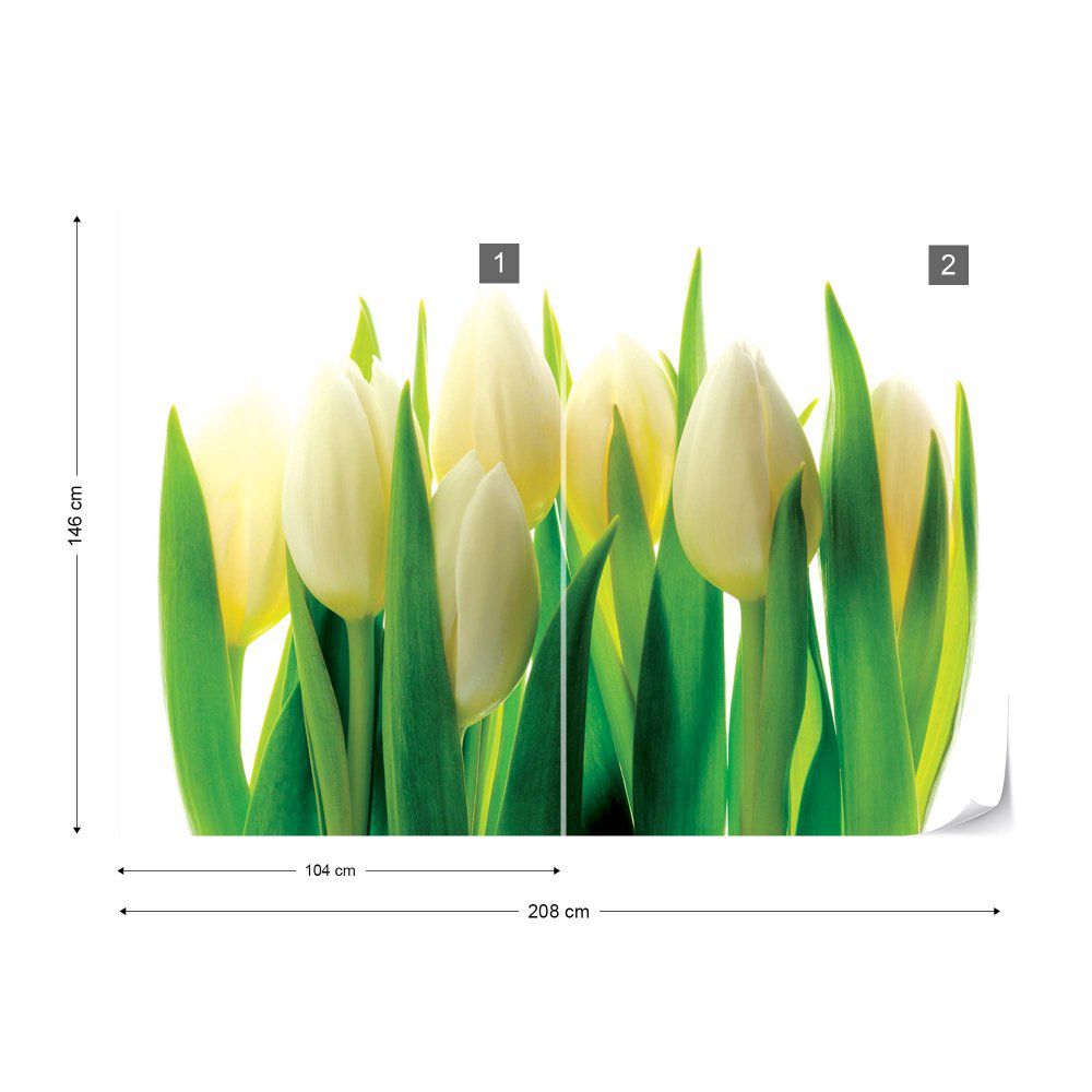 Fototapeta GLIX - Flowers Tulips + lepidlo ZDARMA Vliesová tapeta  - 208x146 cm - GLIX DECO s.r.o.