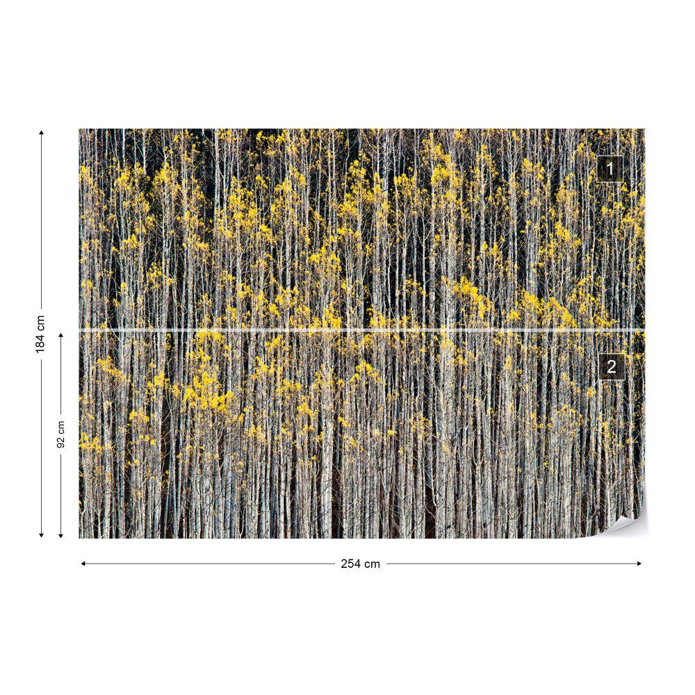 Fototapeta GLIX - Rhythm Of Forest + lepidlo ZDARMA Vliesová tapeta  - 254x184 cm - GLIX DECO s.r.o.