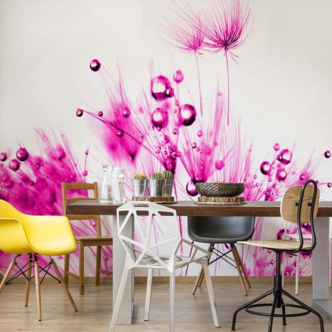 GLIX Fototapeta - Modern Dandelion Pink And White Vliesová tapeta  - 250x104 cm - GLIX DECO s.r.o.