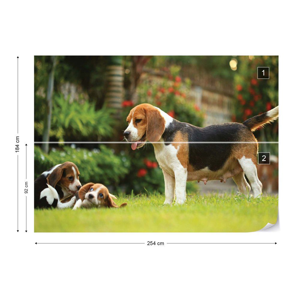 Fototapeta GLIX - Beagle Dog + lepidlo ZDARMA Vliesová tapeta  - 254x184 cm - GLIX DECO s.r.o.