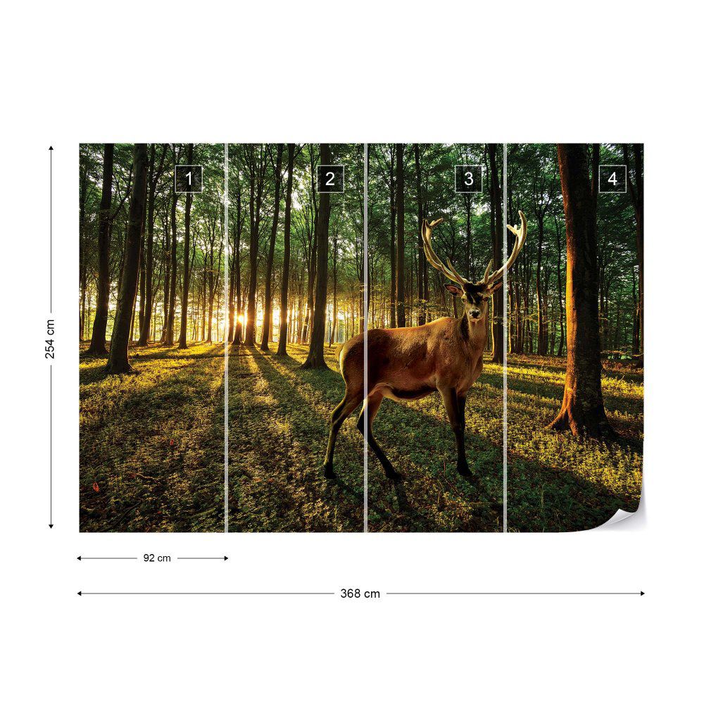 Fototapeta GLIX - Stag In The Forest Sunrise + lepidlo ZDARMA Vliesová tapeta  - 368x254 cm - GLIX DECO s.r.o.