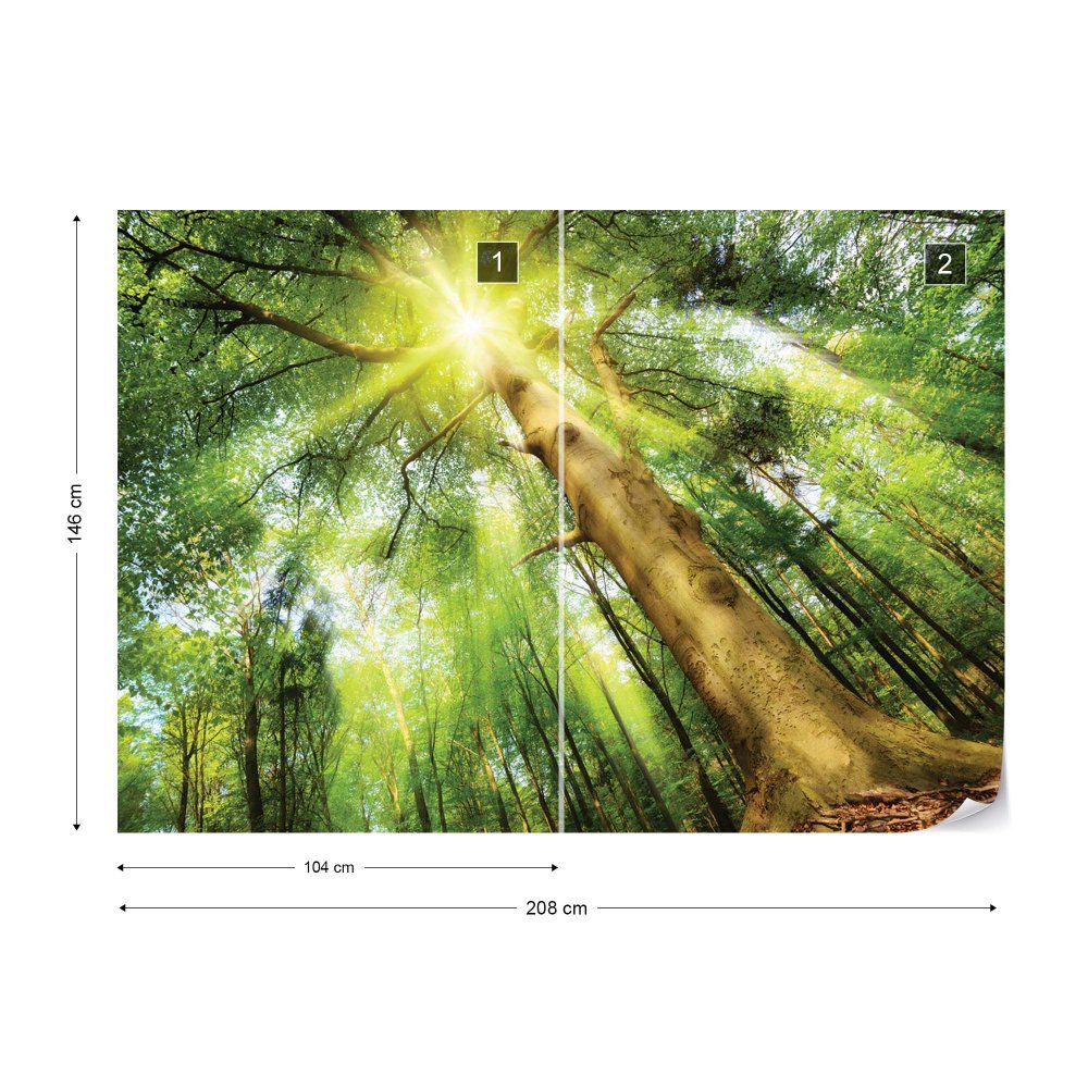 Fototapeta GLIX - Sunshine Trees In The Forest + lepidlo ZDARMA Vliesová tapeta  - 208x146 cm - GLIX DECO s.r.o.