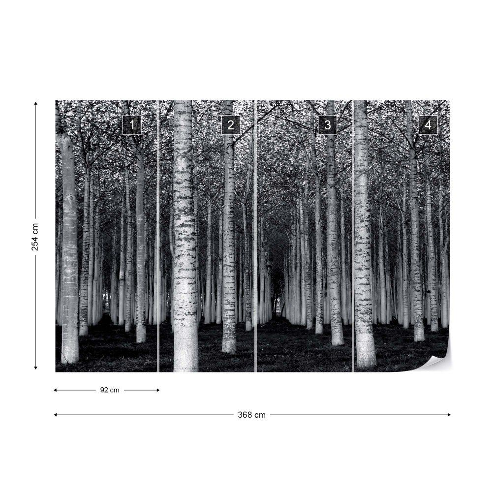 Fototapeta GLIX - The Forest For The Trees + lepidlo ZDARMA Vliesová tapeta  - 368x254 cm - GLIX DECO s.r.o.