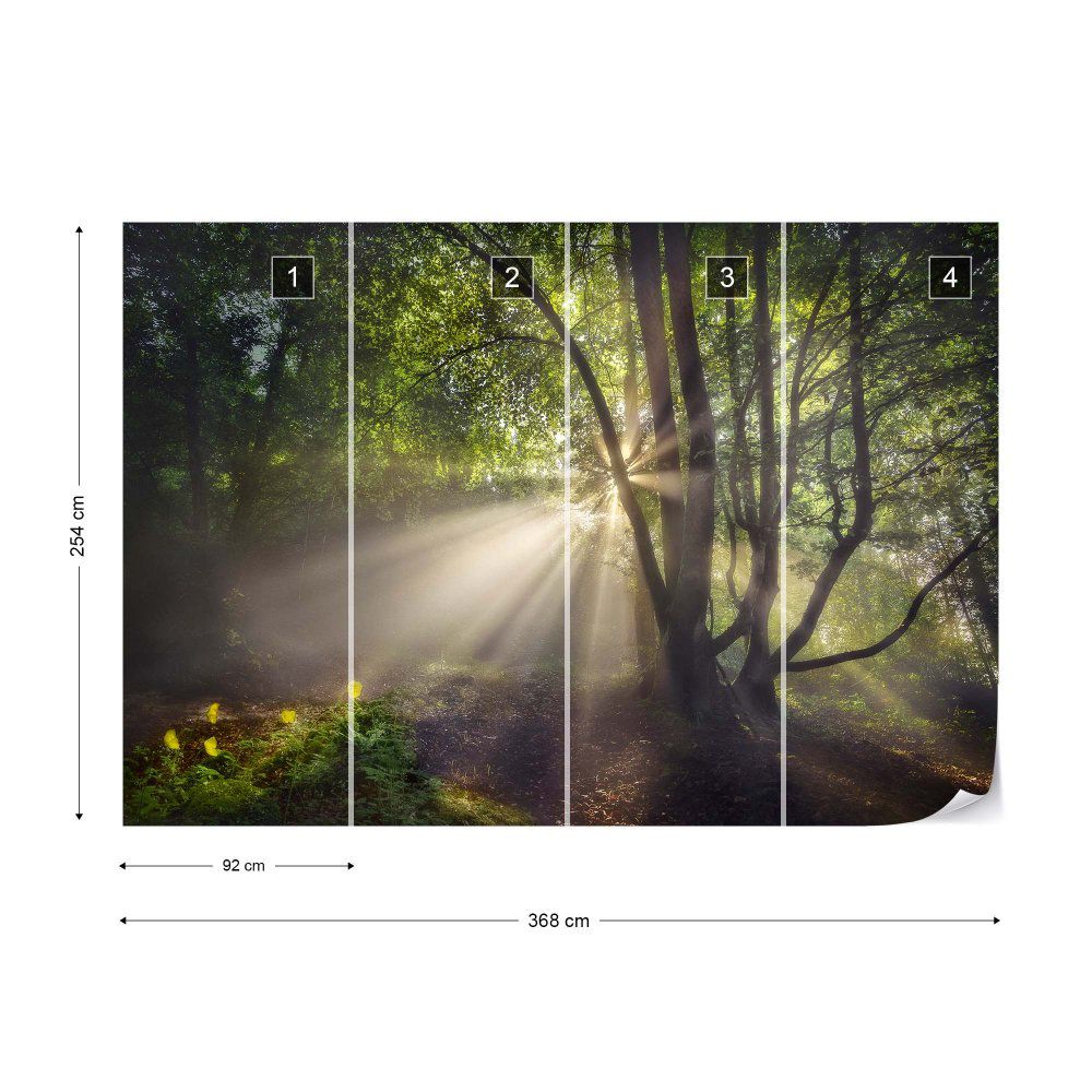 Fototapeta GLIX - The Morning Light + lepidlo ZDARMA Vliesová tapeta  - 368x254 cm - GLIX DECO s.r.o.