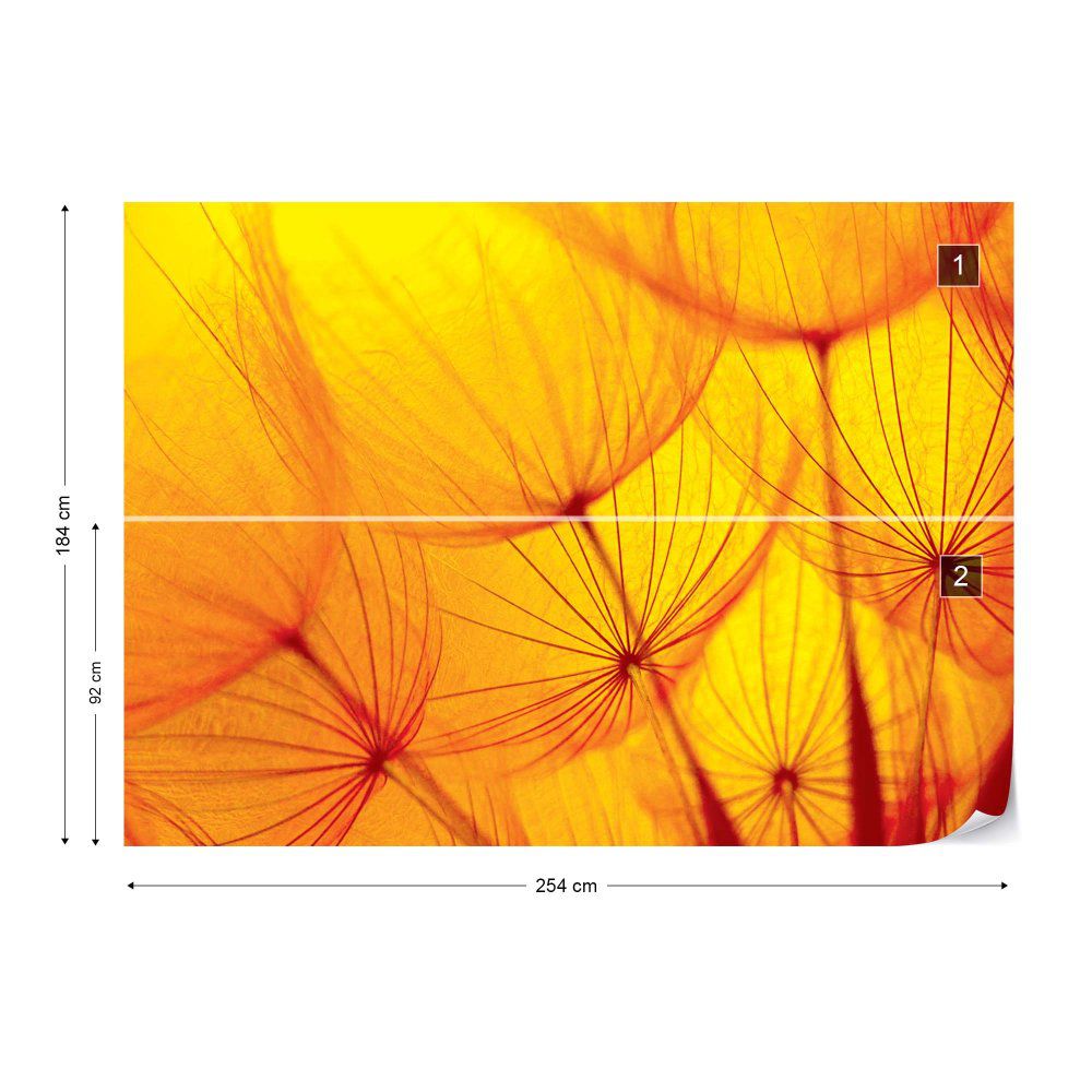 Fototapeta GLIX - Orange Dandelion + lepidlo ZDARMA Vliesová tapeta  - 254x184 cm - GLIX DECO s.r.o.