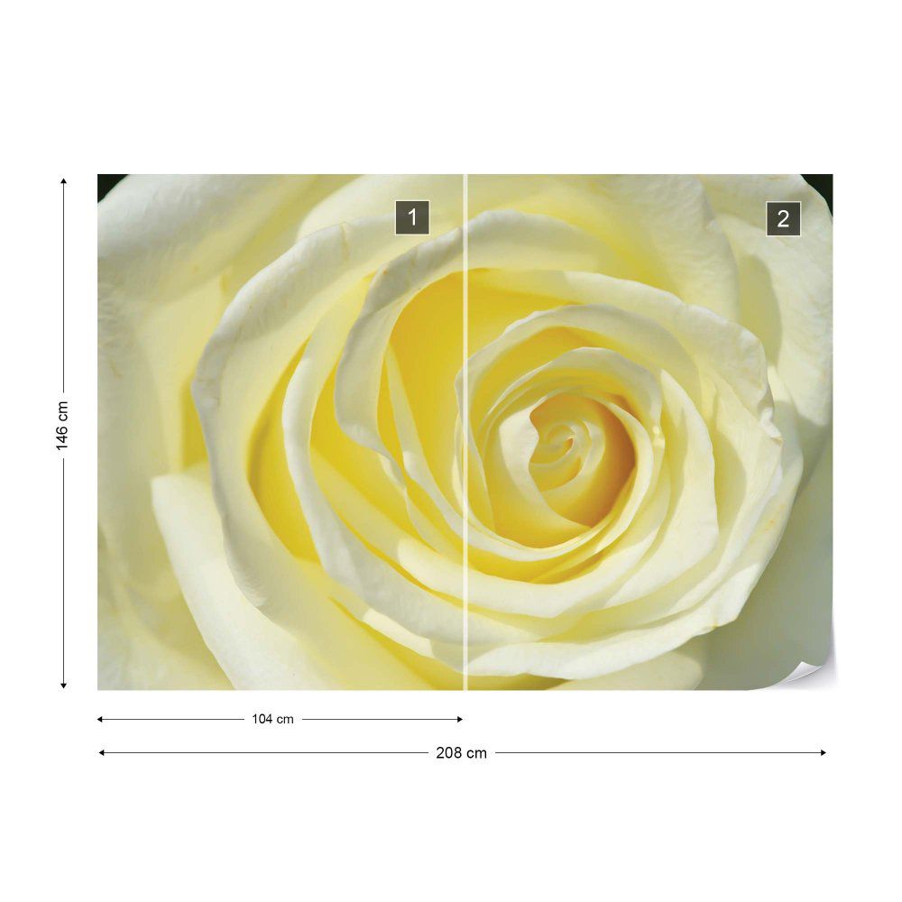 Fototapeta GLIX - Rose Flower Cream Yellow + lepidlo ZDARMA Vliesová tapeta  - 208x146 cm - GLIX DECO s.r.o.
