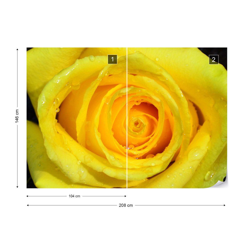 Fototapeta GLIX - Rose Flower Yellow + lepidlo ZDARMA Vliesová tapeta  - 208x146 cm - GLIX DECO s.r.o.