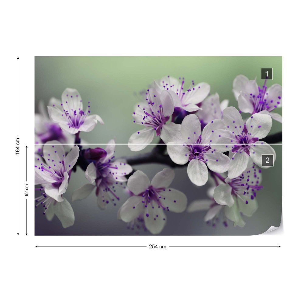 Fototapeta GLIX - Soft Blossom + lepidlo ZDARMA Vliesová tapeta  - 254x184 cm - GLIX DECO s.r.o.
