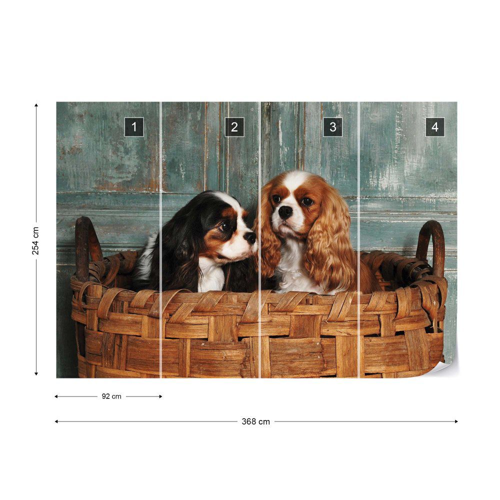 Fototapeta GLIX - Spaniel Dogs + lepidlo ZDARMA Vliesová tapeta  - 368x254 cm - GLIX DECO s.r.o.