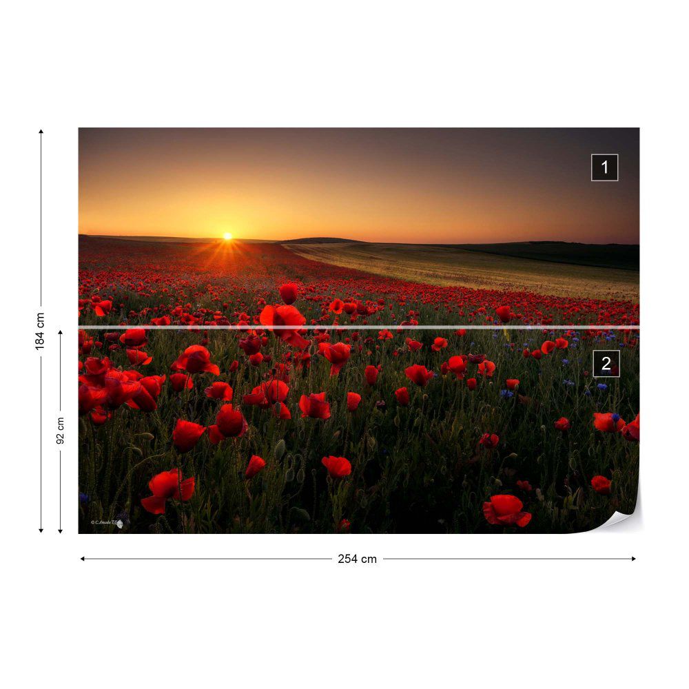 Fototapeta GLIX - Sunrise Between Poppies + lepidlo ZDARMA Vliesová tapeta  - 254x184 cm - GLIX DECO s.r.o.