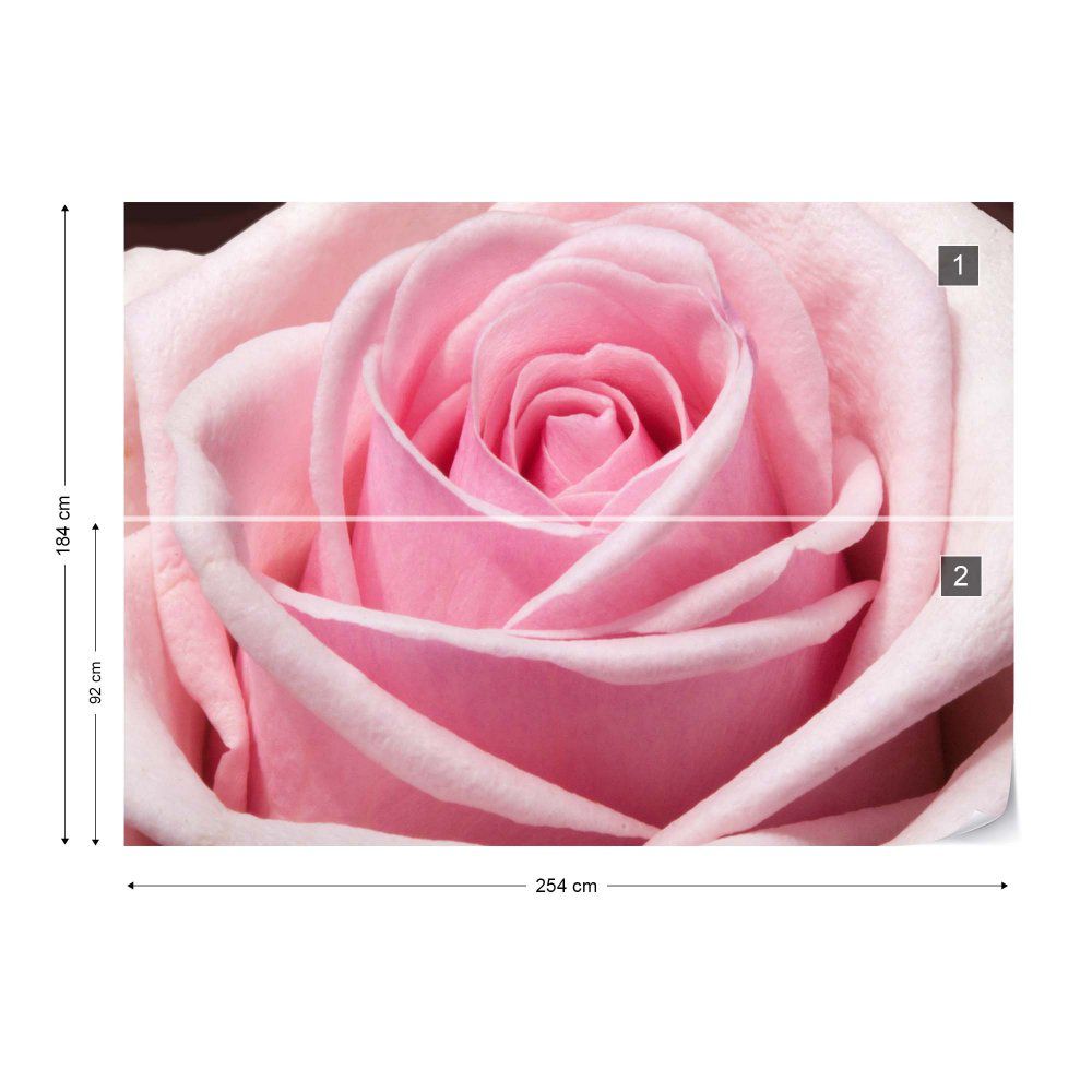 Fototapeta GLIX - The Sensual Rose + lepidlo ZDARMA Vliesová tapeta  - 254x184 cm - GLIX DECO s.r.o.