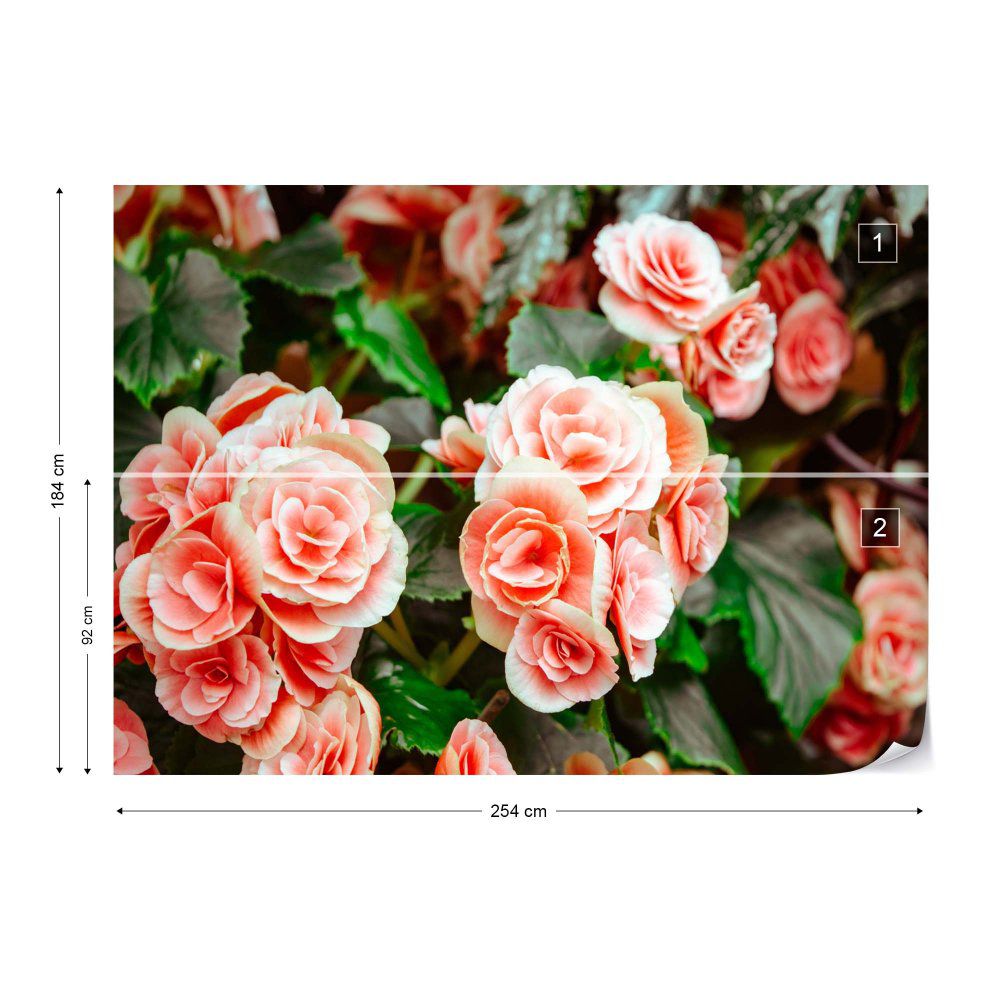 Fototapeta GLIX - Vibrant Blooms + lepidlo ZDARMA Vliesová tapeta  - 254x184 cm - GLIX DECO s.r.o.