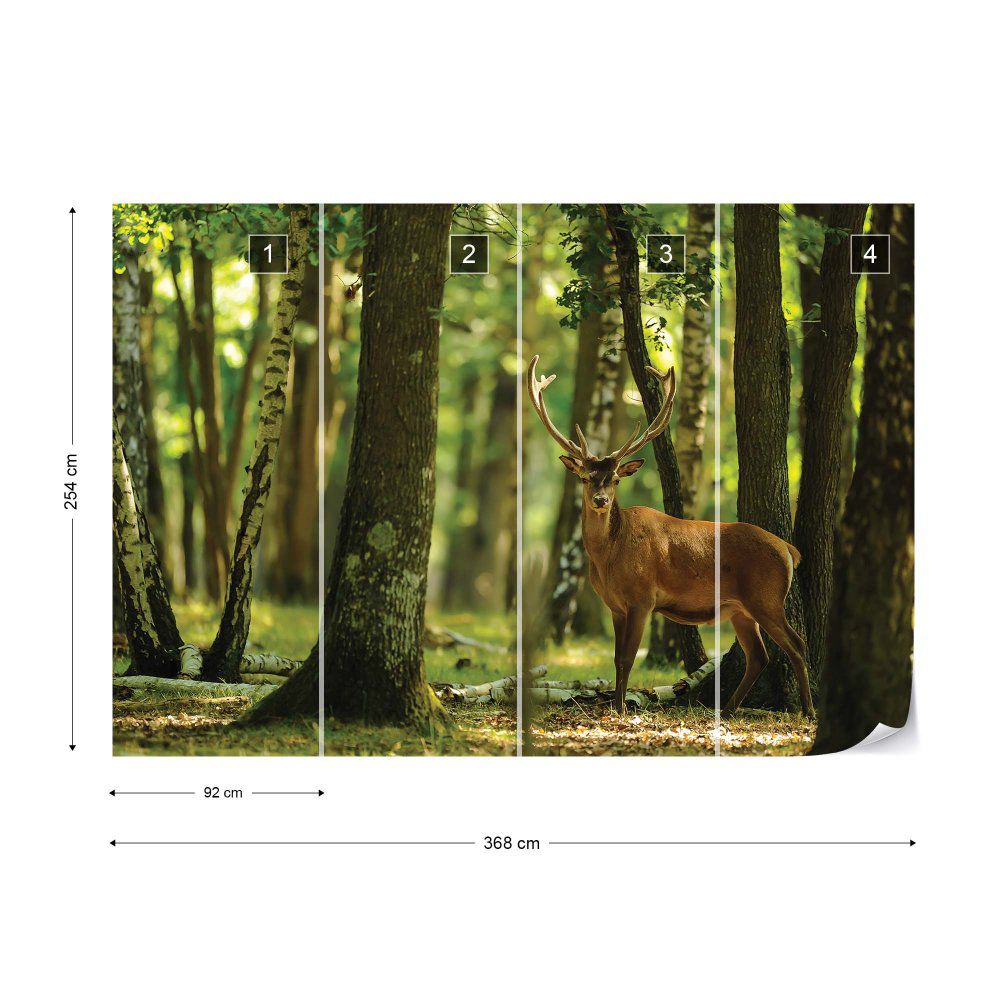 Fototapeta GLIX - Deer In The Forest Nature  + lepidlo ZDARMA Vliesová tapeta  - 368x254 cm - GLIX DECO s.r.o.