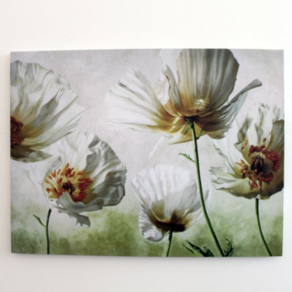 Obraz na plátně Flowers power, 60 x 80 cm - 4home.cz