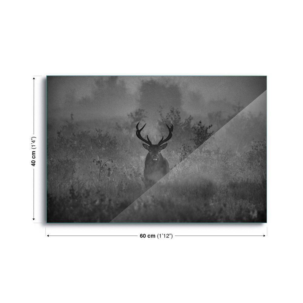 Obraz na skle GLIX - Stag In The Mist 60x40 cm - GLIX DECO s.r.o.