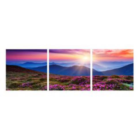 Obraz horské rozkvetlé krajiny (K011322K9030) - Favi.cz