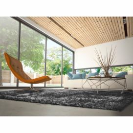 Antracitový koberec 60x120 cm Aloe Liso – Universal