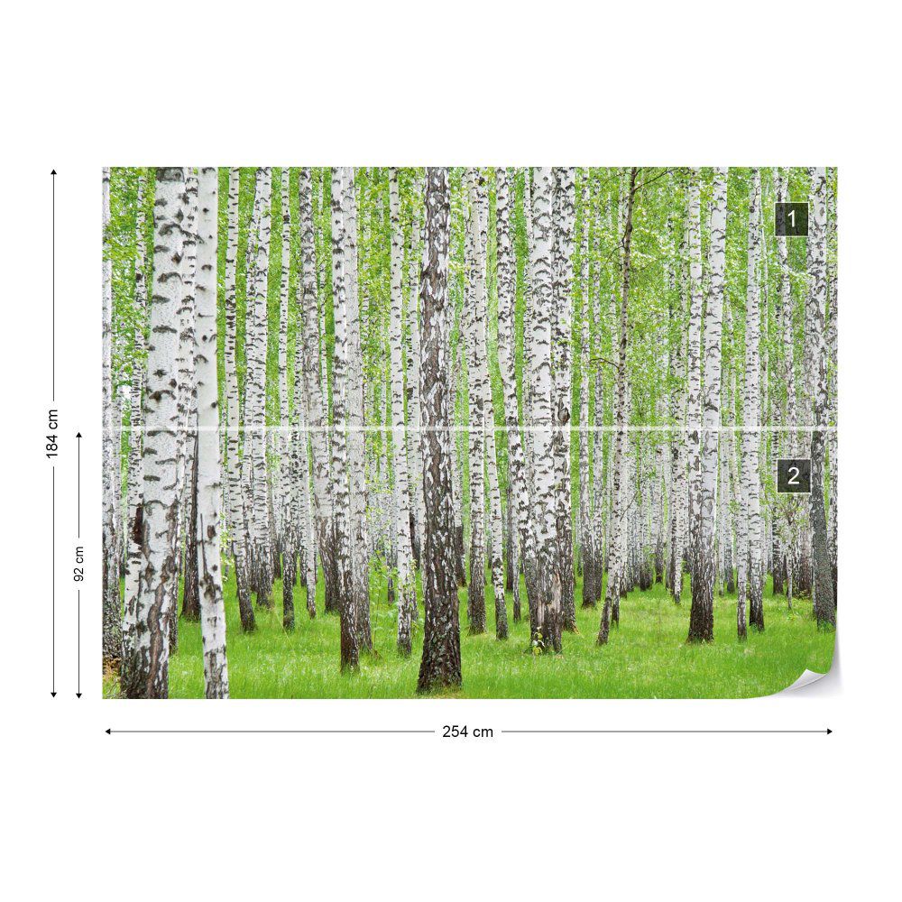 Fototapeta GLIX - Forest Birch Trees Woods + lepidlo ZDARMA Vliesová tapeta  - 254x184 cm - GLIX DECO s.r.o.