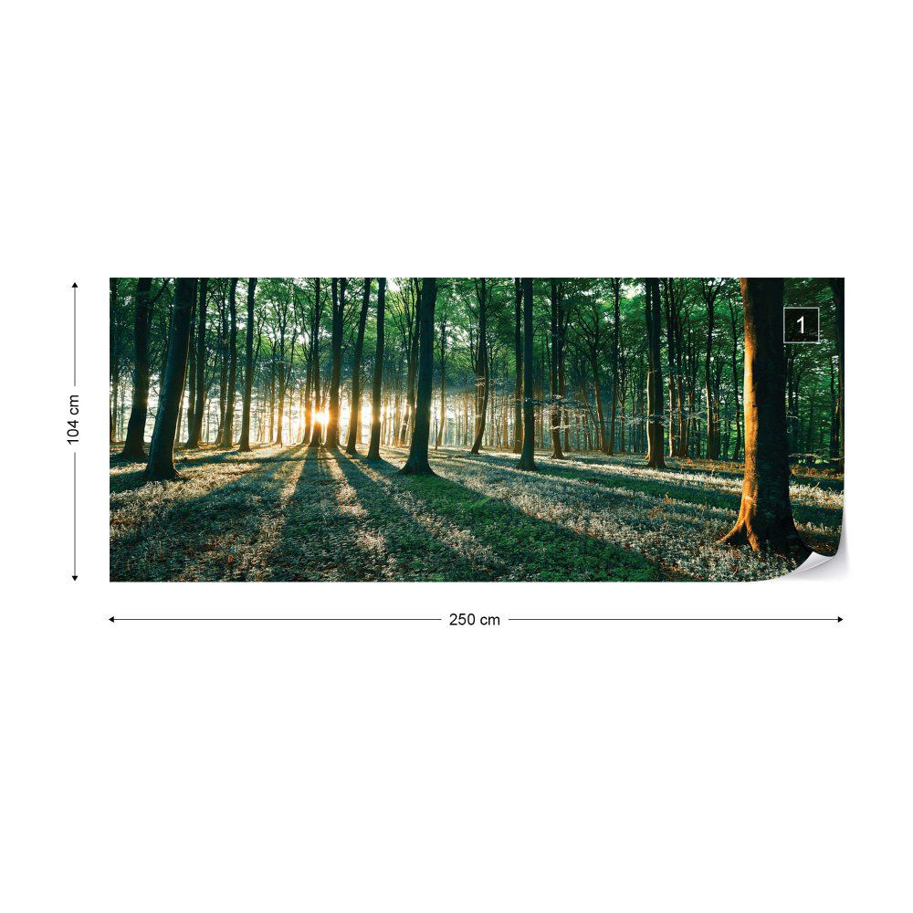 Fototapeta GLIX - Forest Landscape Green Light + lepidlo ZDARMA Vliesová tapeta  - 250x104 cm - GLIX DECO s.r.o.