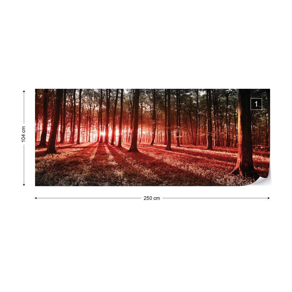 Fototapeta GLIX - Forest Landscape Red Light + lepidlo ZDARMA Vliesová tapeta  - 250x104 cm - GLIX DECO s.r.o.