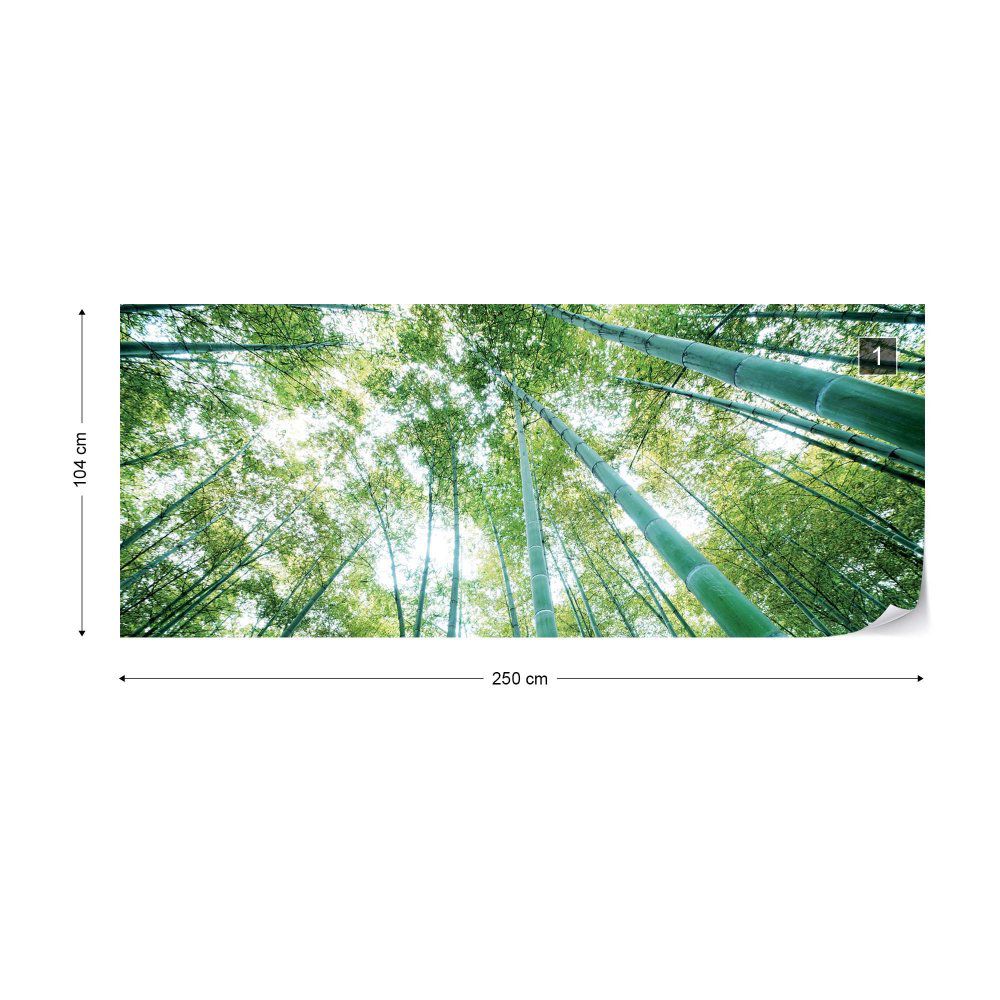Fototapeta GLIX - Forest Woods + lepidlo ZDARMA Vliesová tapeta  - 250x104 cm - GLIX DECO s.r.o.