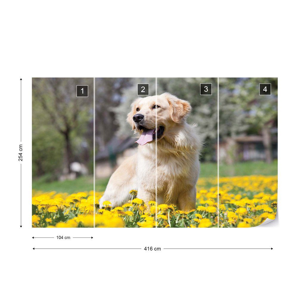 Fototapeta GLIX - Golden Retriever Dog + lepidlo ZDARMA Vliesová tapeta  - 416x254 cm - GLIX DECO s.r.o.