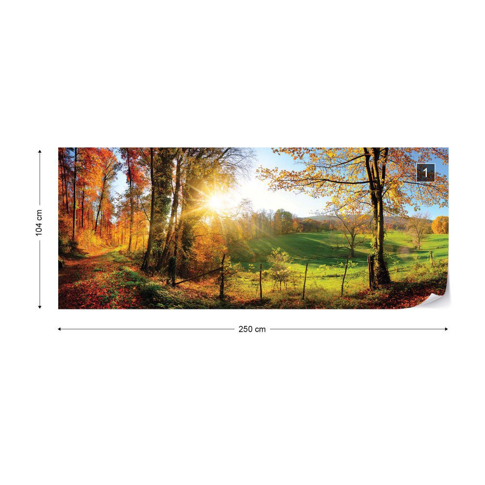 Fototapeta GLIX - Sunrise In Autumn Forest + lepidlo ZDARMA Vliesová tapeta  - 250x104 cm - GLIX DECO s.r.o.