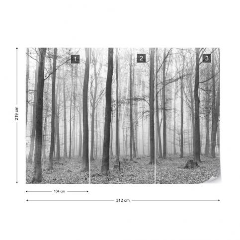 GLIX Fototapeta - Black And White Misty Forest Vliesová tapeta  - 312x219 cm - GLIX DECO s.r.o.