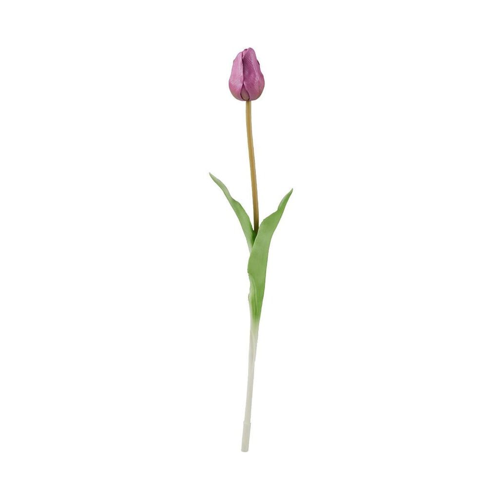 FLORISTA Tulipán 47 cm - fialová - Butlers.cz