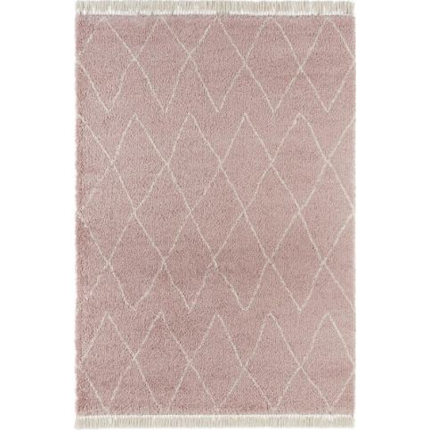 Mint Rugs - Hanse Home koberce Kusový koberec Desiré Rose Rozměry koberců: 160x230cm MK256501/160X23 - Veselá Žena.cz