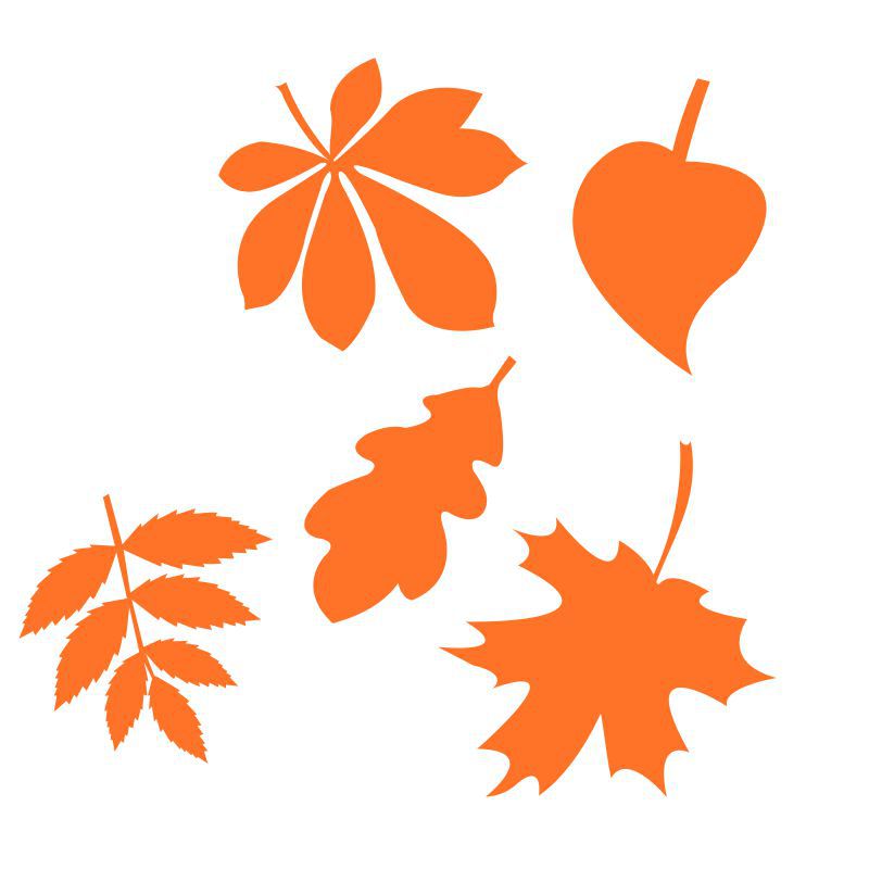 Pieris design Padající listy - podzimní samolepky na okno bílá - Pieris design