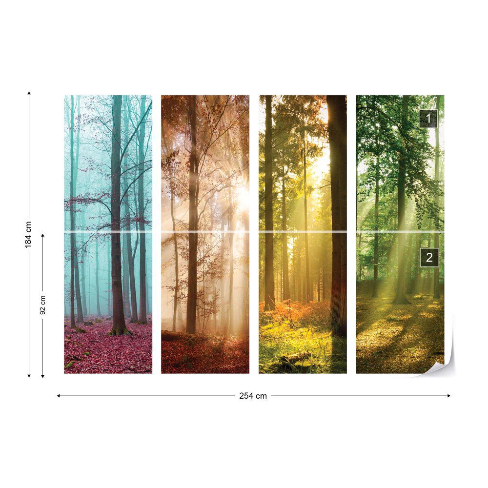 Fototapeta GLIX - 4 Seasons In The Forest + lepidlo ZDARMA Papírová tapeta  - 254x184 cm - GLIX DECO s.r.o.