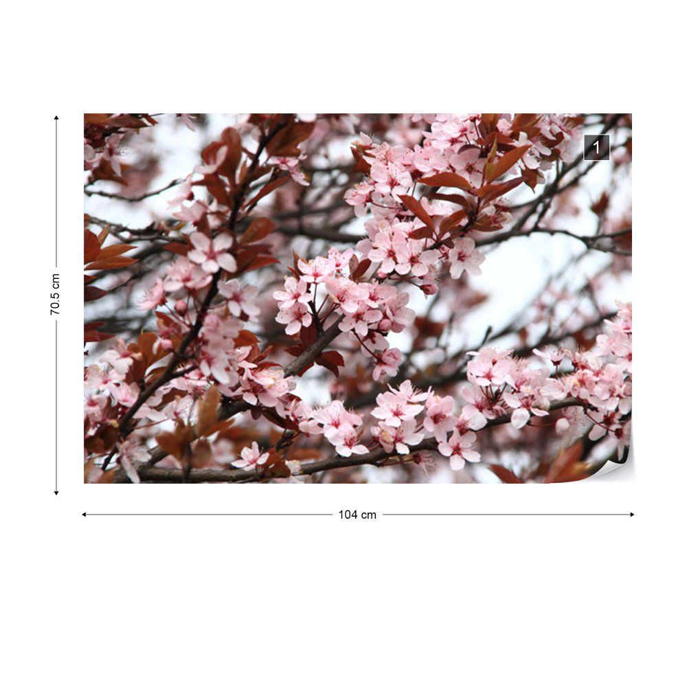 Fototapeta GLIX - Beautiful Blossoms + lepidlo ZDARMA Vliesová tapeta  - 104x70 cm - GLIX DECO s.r.o.