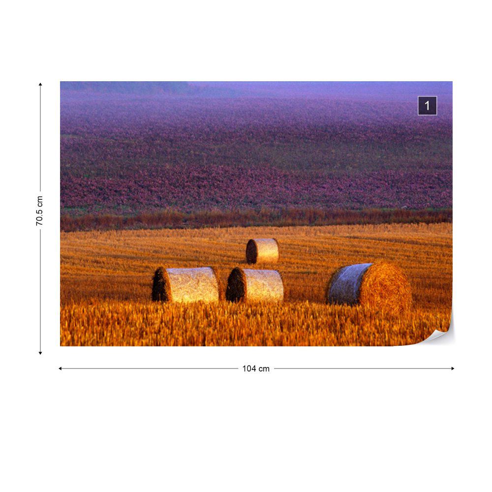 Fototapeta GLIX - Farmer\'s Field + lepidlo ZDARMA Vliesová tapeta  - 104x70 cm - GLIX DECO s.r.o.