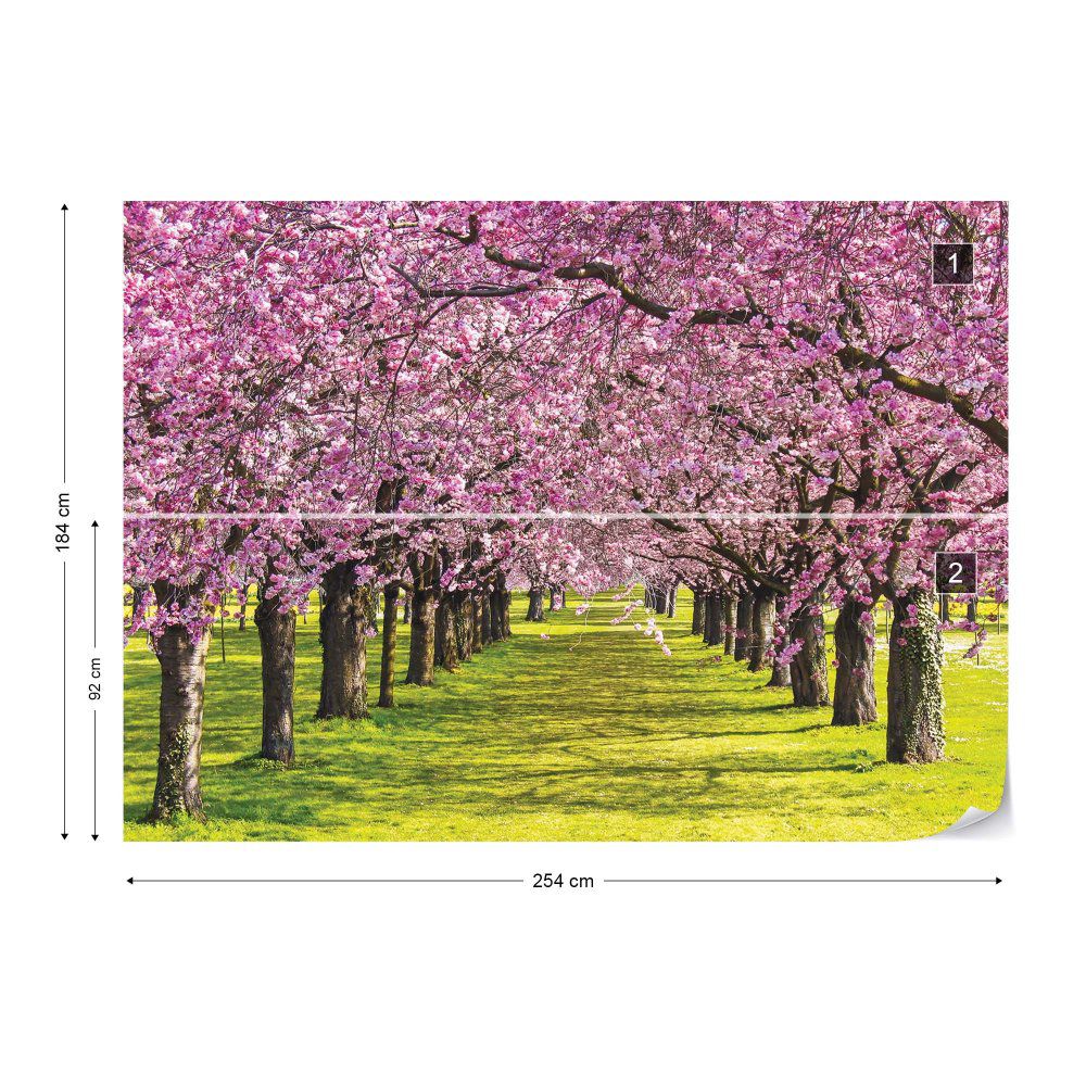 Fototapeta GLIX - Flowering Trees + lepidlo ZDARMA Papírová tapeta  - 254x184 cm - GLIX DECO s.r.o.